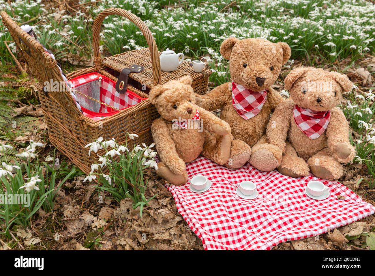 Il picnic di Teddy Bear in bosco tra le prime nevicate primaverili. Tre orsacchiotti che hanno il tè su un panno rosso e bianco gingham tavolo con tradizionale w Foto Stock