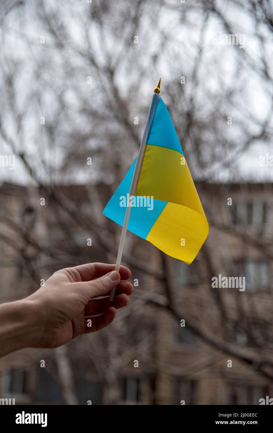 Una mano dell'uomo tiene la bandiera Ucraina su un bastone contro lo sfondo di un cielo grigio e rami di albero e edificio civile Foto Stock
