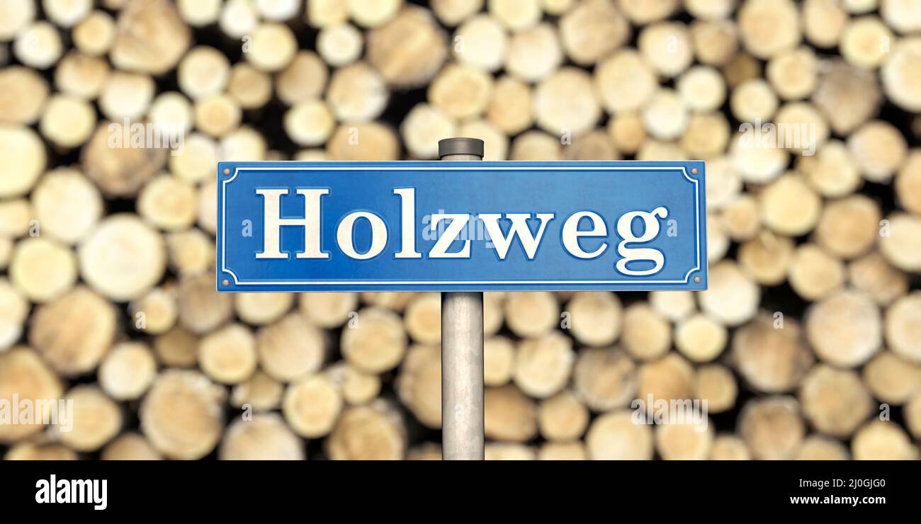 Sulla pista sbagliata - un cartello con la parola tedesca Holzweg (pista sbagliata) Foto Stock