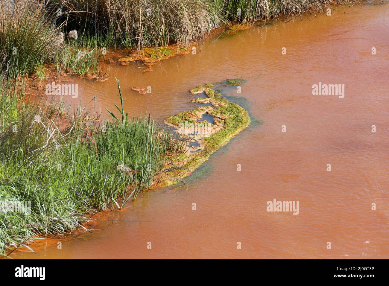 Un fiume è inquinato da acque reflue Foto Stock
