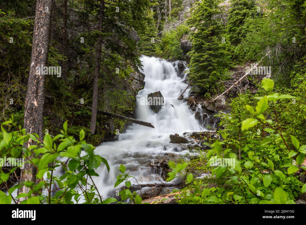 Una stretta corrente d'acqua in Lewis e Clark Cavern SP, Montana Foto Stock