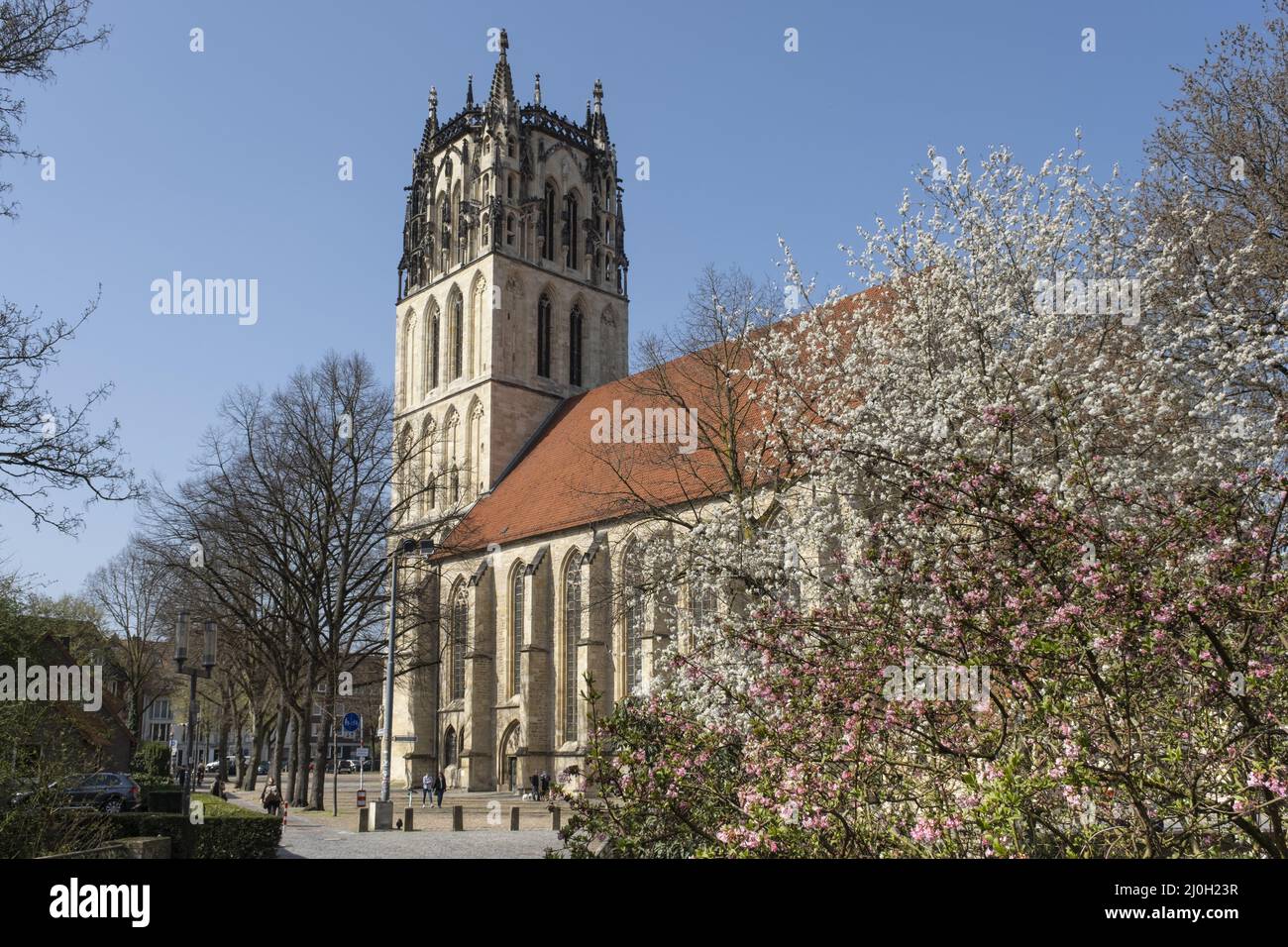 Chiesa di Liebfrauen-Ueberwasser, Muenster, Westfalia, Germania, Europa Foto Stock