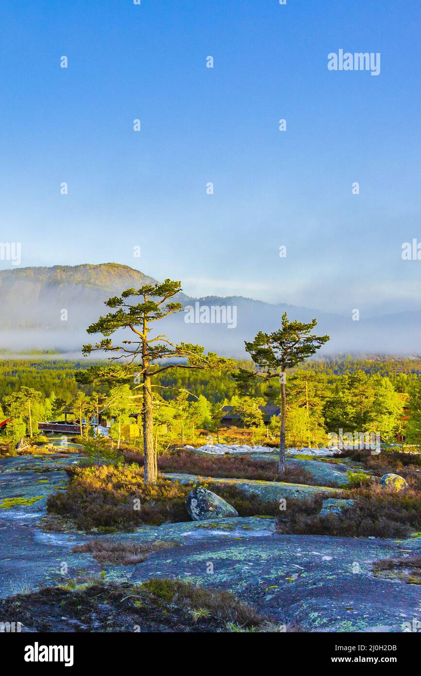 Mattina alba nebbia nuvole e montagne natura paesaggio Nissedal Norvegia. Foto Stock