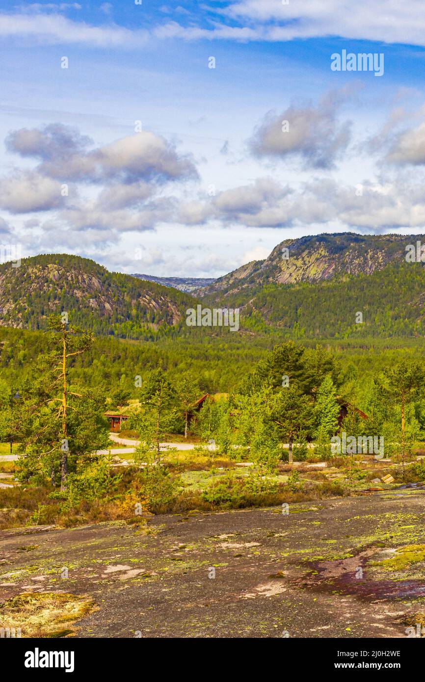 Panorama con alberi di abete e montagne paesaggio naturale Nissedal Norvegia. Foto Stock