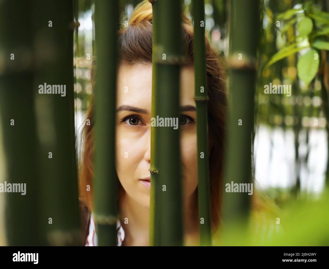 La ragazza dorata guarda attraverso gli alberi di bambù verde. Foto primo piano Foto Stock