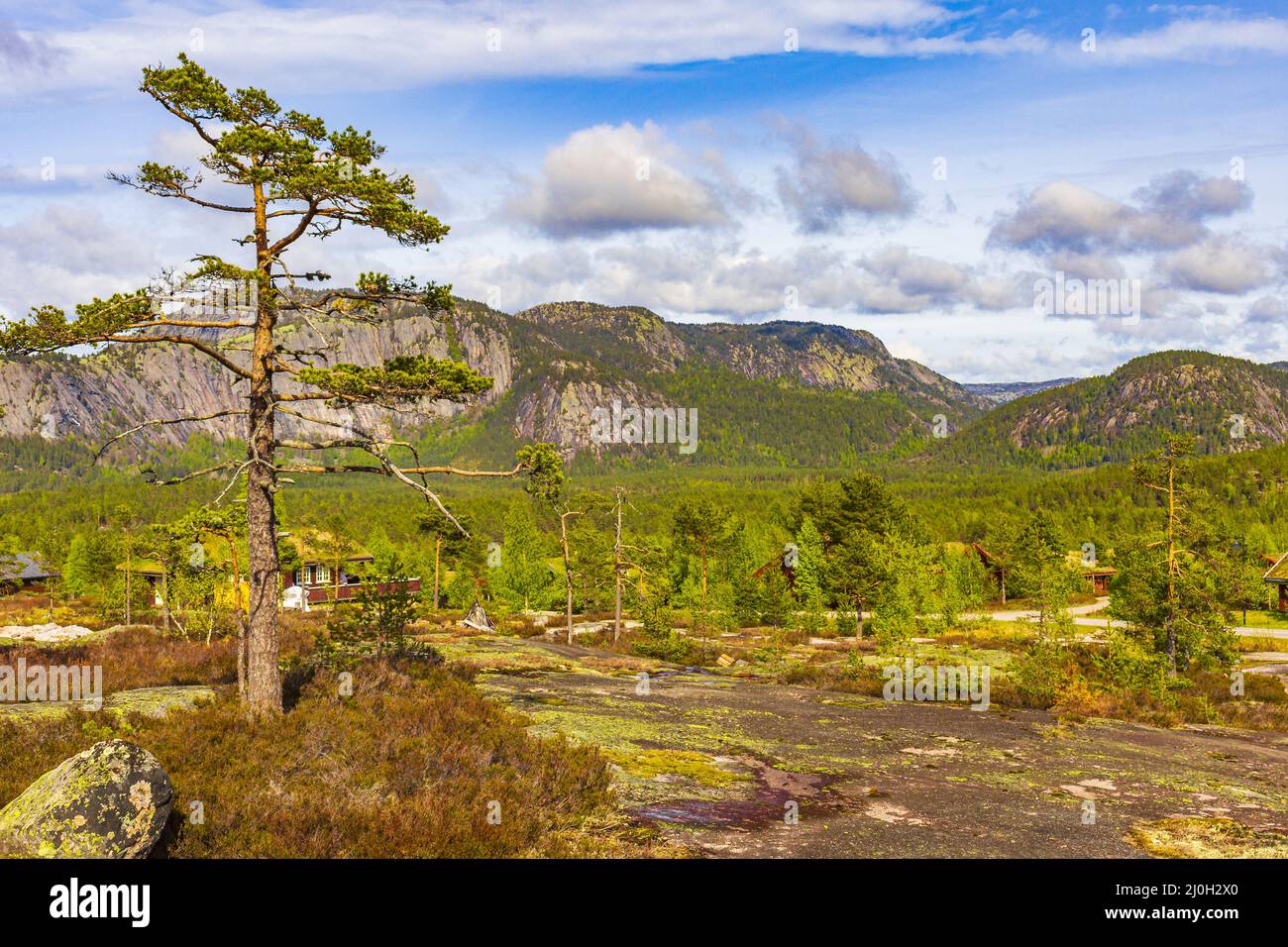 Panorama con alberi di abete e montagne paesaggio naturale Nissedal Norvegia. Foto Stock