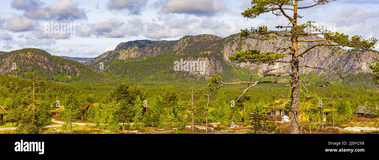 Panorama con alberi di abete e montagne paesaggio naturale Nissedal Norvegia. Foto Stock