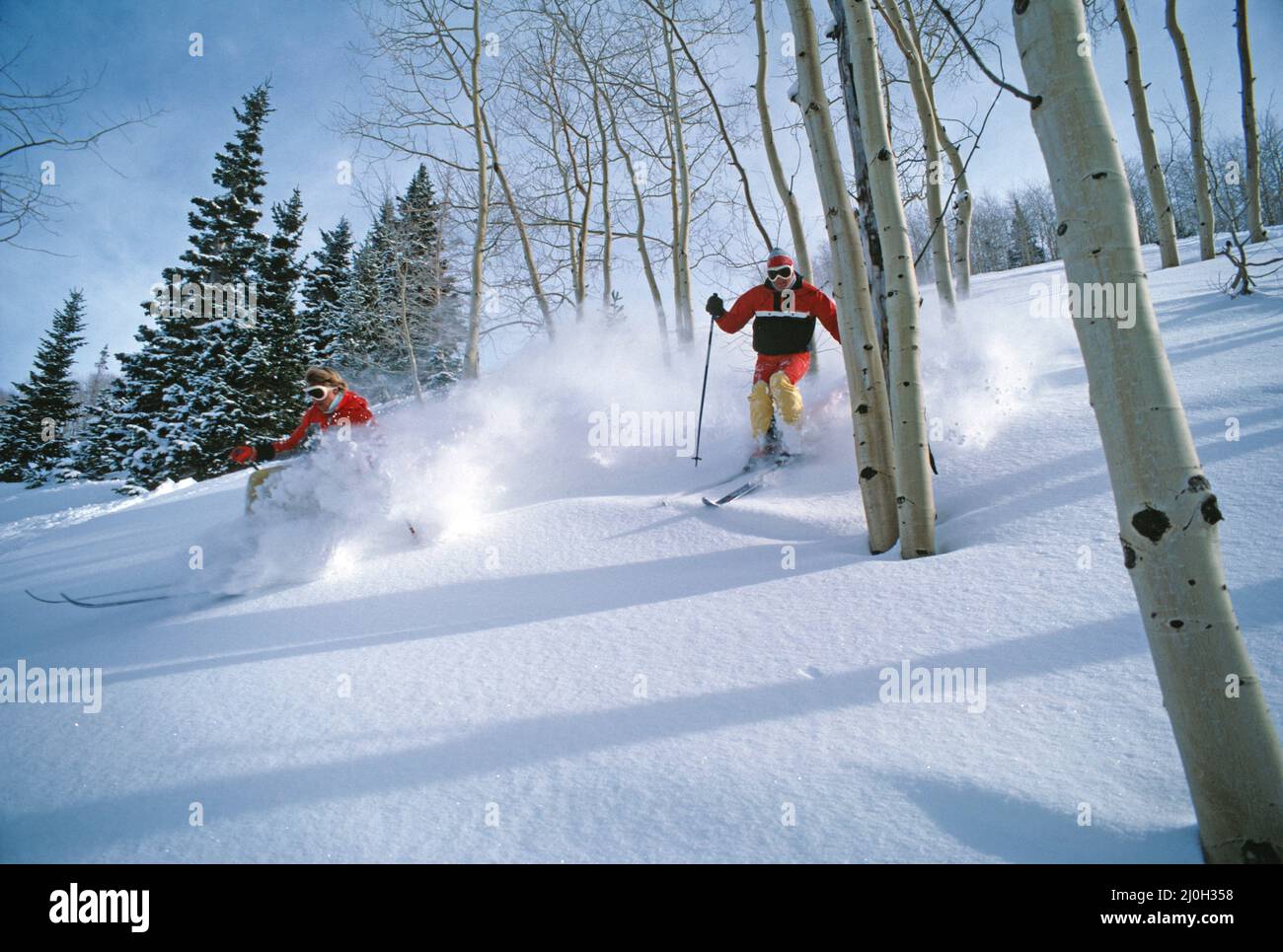 USA. Utah. Park City. Sci alpino tra gli alberi di Aspen. Foto Stock