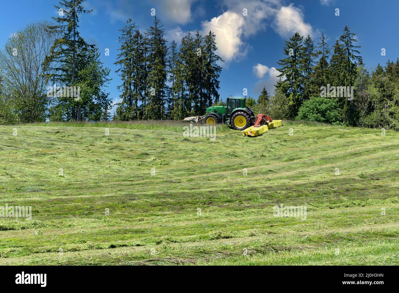 Lavoro agricolo in estate Foto Stock