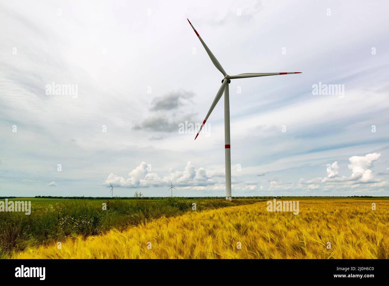 Turbina eolica sul campo di grano in Ucraina. Foto Stock