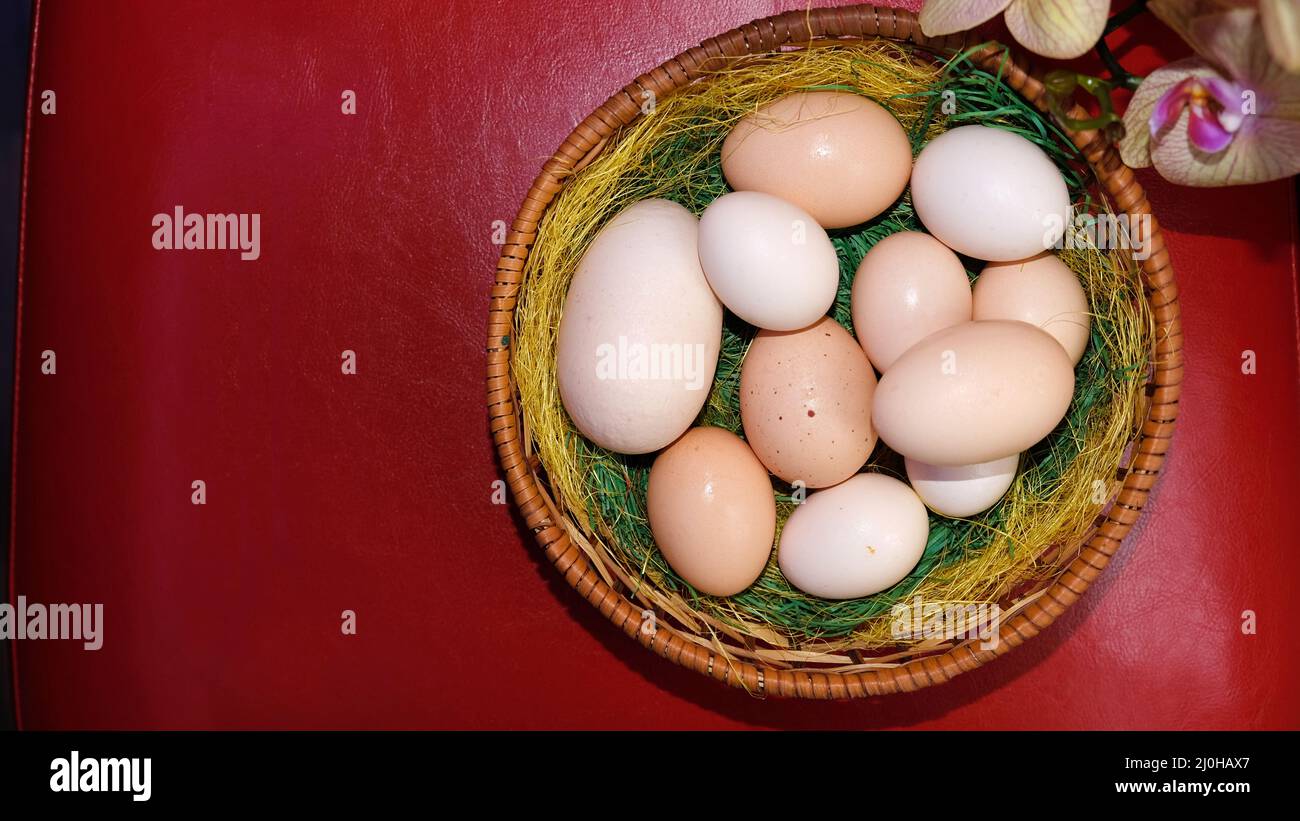 Uova non dipinte e orchidea gialla Foto Stock