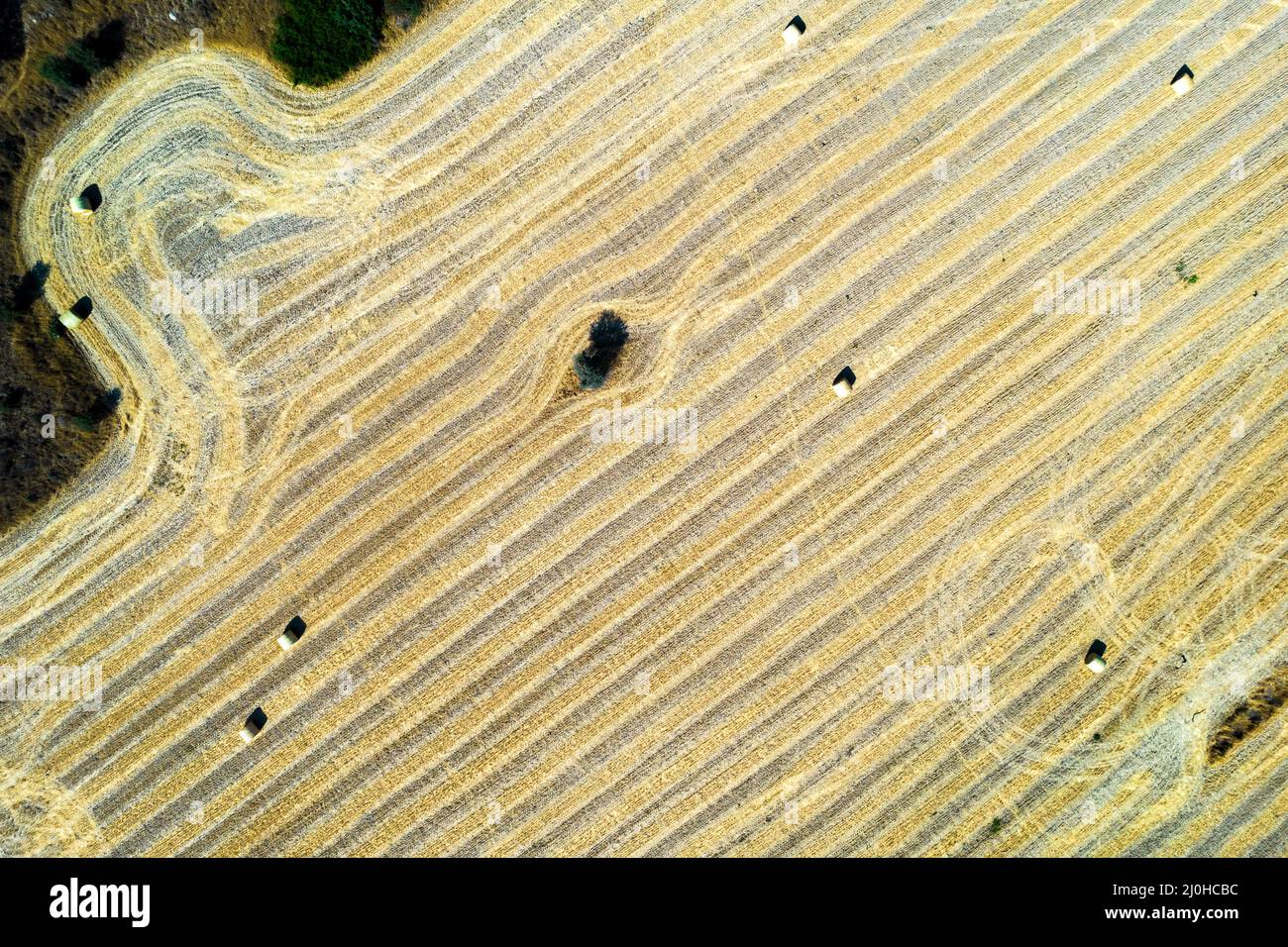 Raccolta a Cipro. Pile di balle di fieno sul campo estivo. Agricoltura all'aperto Foto Stock