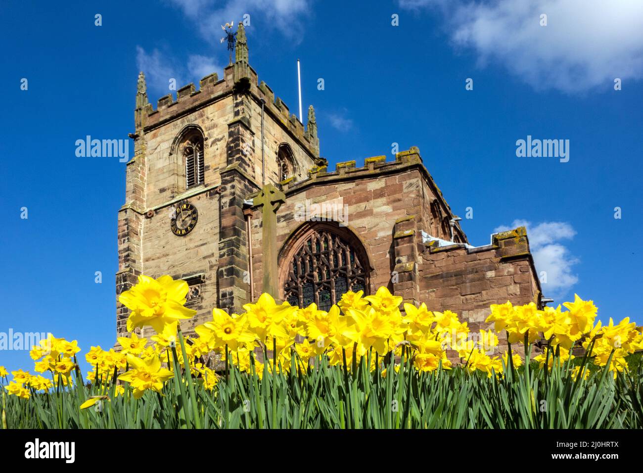 Vista primaverile della chiesa parrocchiale di San Giacomo il Grande nel villaggio Cheshire di Audlem, con naffodils che crescono intorno alla collina su cui sorge Foto Stock