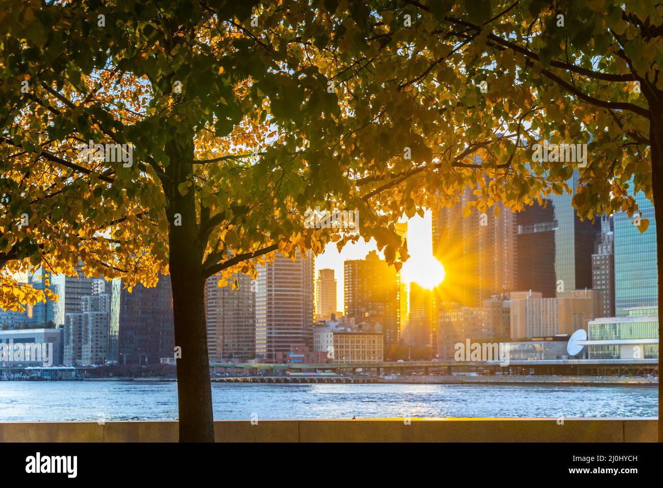Il sole tramonta tra il grattacielo Midtown Manhattan oltre l'East River il 2021 novembre a New City. Vista dal Franklin D. Roosevelt Four Freedoms Park Foto Stock
