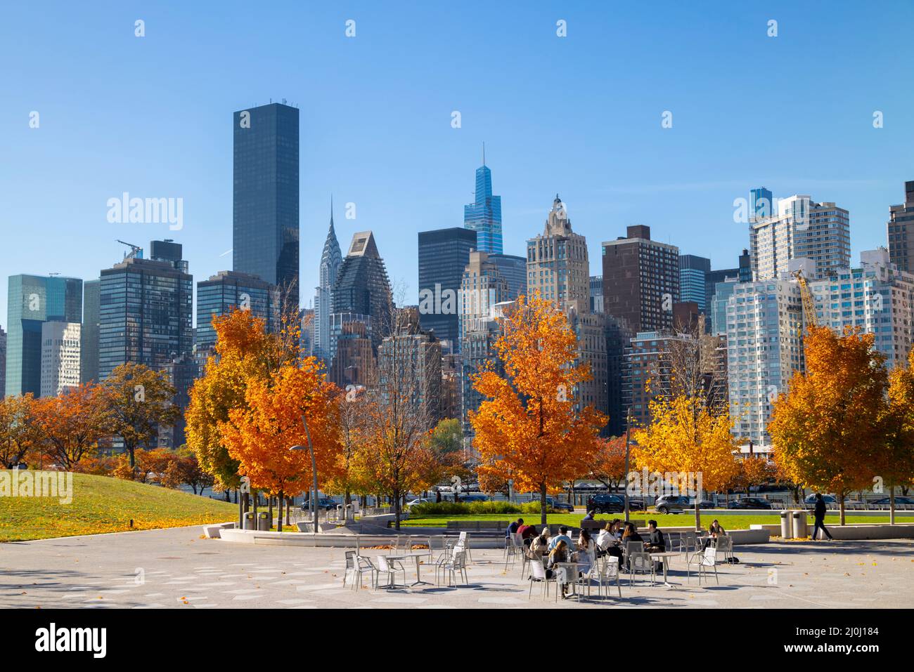 Gli alberi di colore delle foglie autunnali brillano al City View Point a Southpoint Park Roosevelt Island il 2021 novembre a New York City. Midtown Manhattan skyscraper st Foto Stock