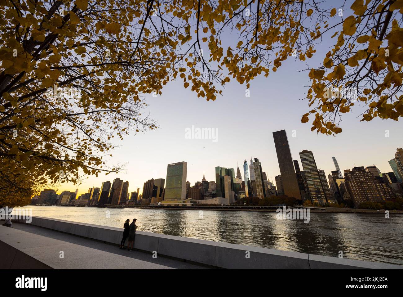 Sunset Glow avvolge il grattacielo Midtown Manhattan oltre l'East River dietro l'albero autunnale a Franklin D. Roosevelt Four Freedoms Park a Roo Foto Stock