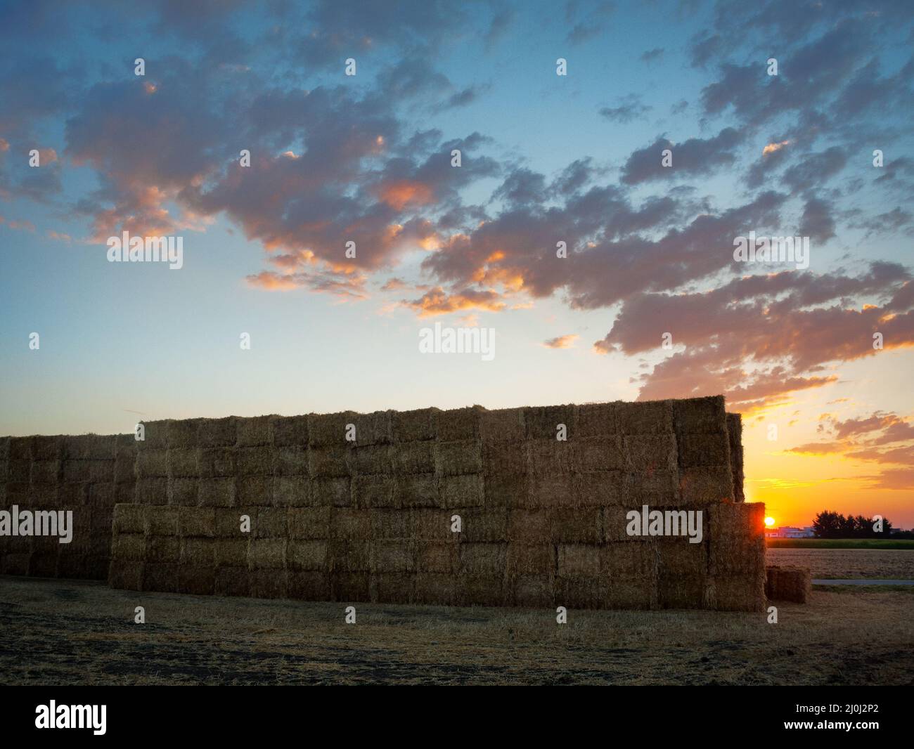 Parete del fieno - balle di paglia Foto Stock