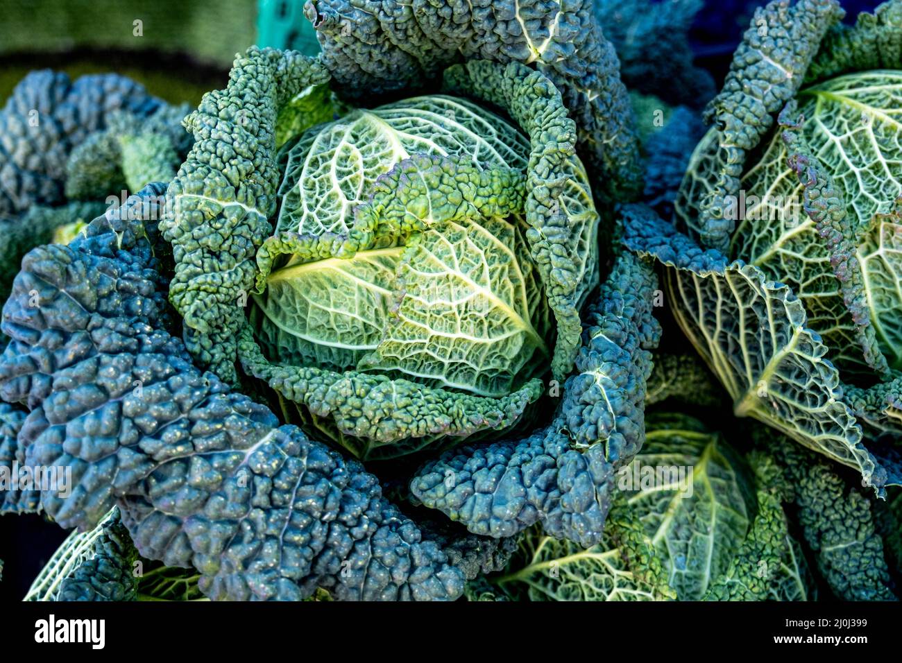 Epsom Surrey London UK, marzo 19 2022, pile o Stack of Fresh Raw Uncotti Savoy Cabbage Foto Stock