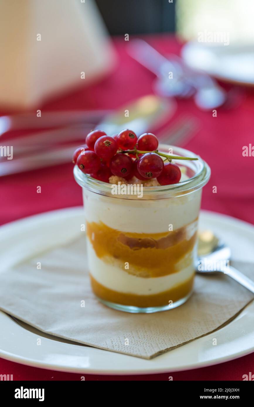 Trifle con ribes e albicocca per dessert Foto Stock