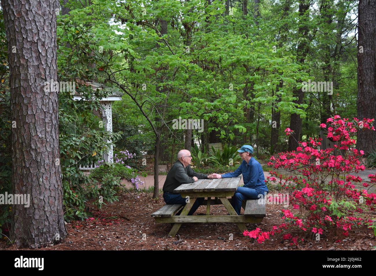 Godendo il giardino insieme Foto Stock