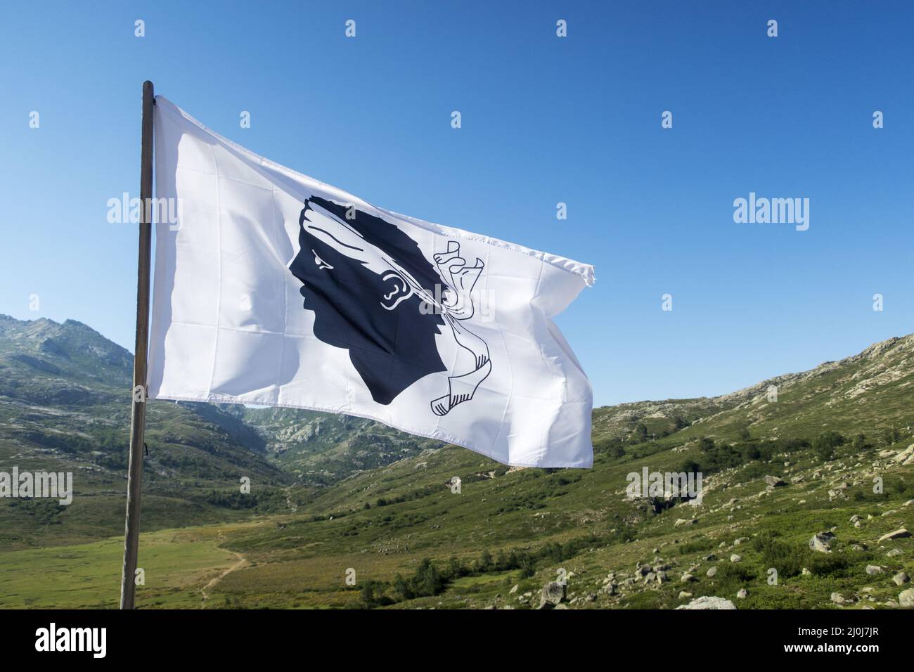 Bandiera corsa in una giornata di sole Foto Stock