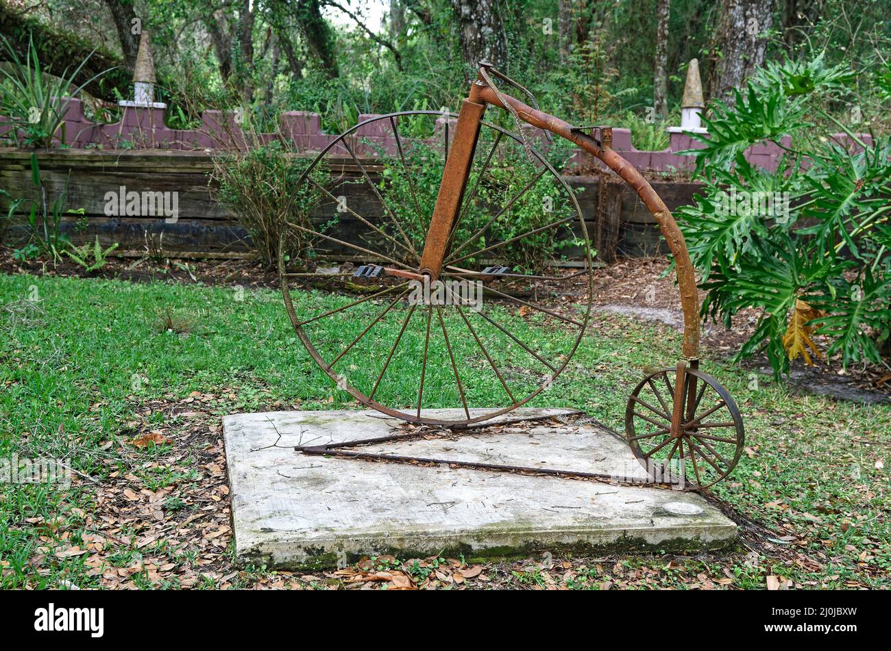 boneshaker bicicletta, antico, arrugginito, decorazione giardino, vecchio, Trasporto, Castello di Solomon, Florida, Ona, Florida Foto Stock