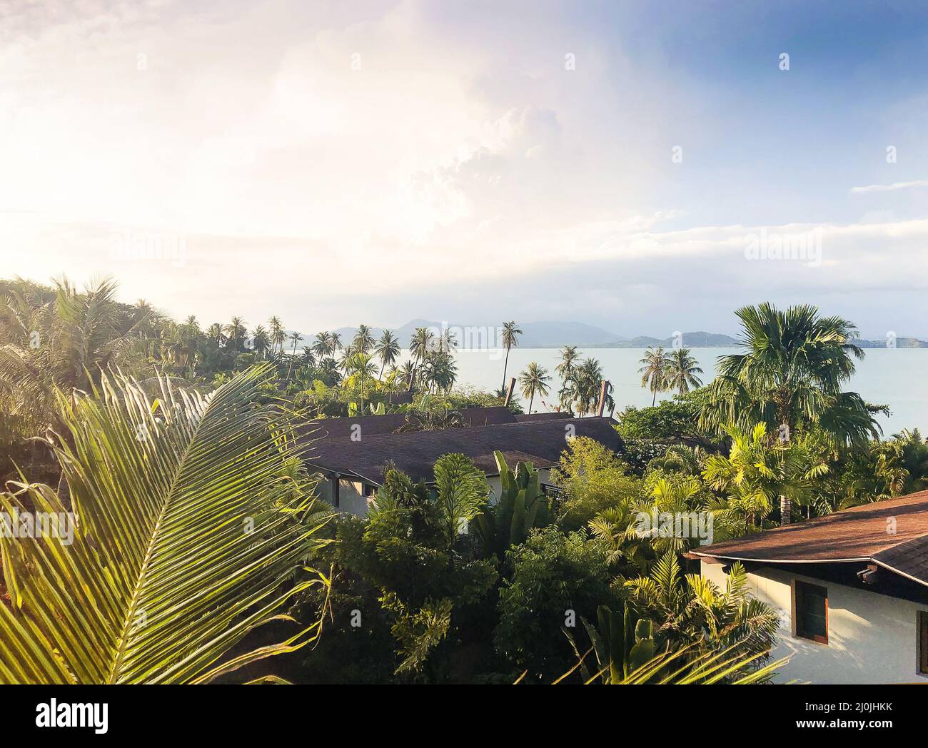 Vista aerea dei tetti rossi di case, palme e oceano. Paesaggio tropicale sull'isola Foto Stock