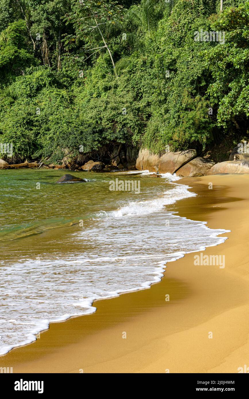 Spiaggia paradisiaca con acque trasparenti circondate da foresta pluviale Foto Stock Spiaggia paradisiaca con acque trasparenti circondate da foresta pluviale Foto Stock