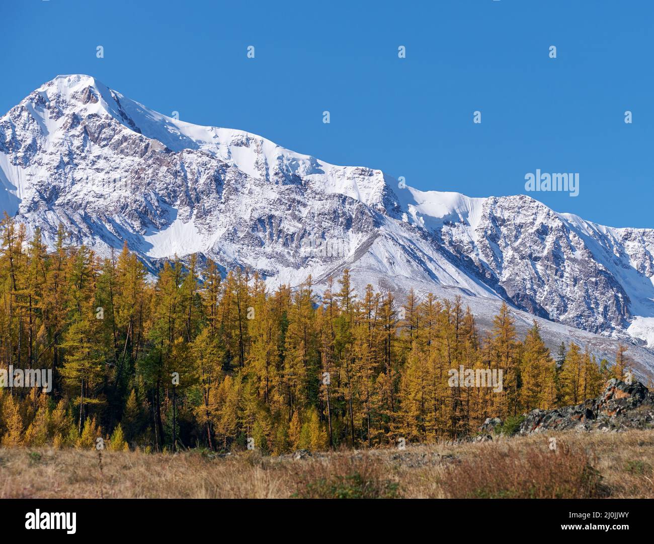 Picco Kurkurek sulla catena montuosa di Chui Nord. Altai, Siberia, Russia Foto Stock