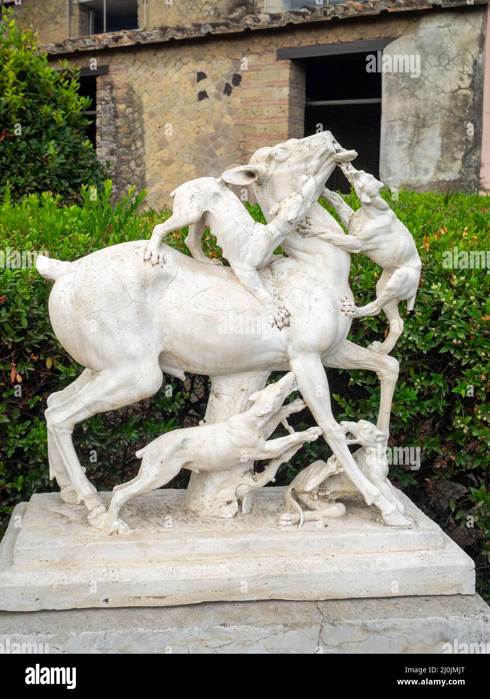 Statua di cervo attaccata da un pacco di cani sedette Casa dei Cervi, Ercolano Foto Stock
