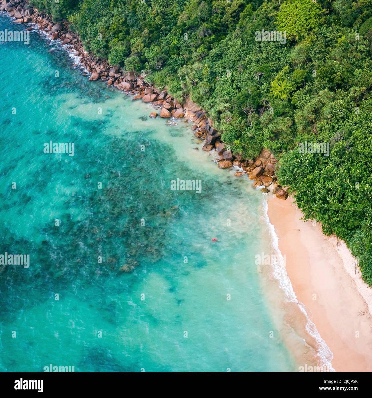 Costa tropicale della giungla in Sri Lanka. Vista aerea di Costline esotica, spiaggia e foresta pluviale. Paradise Beach. Foto Stock