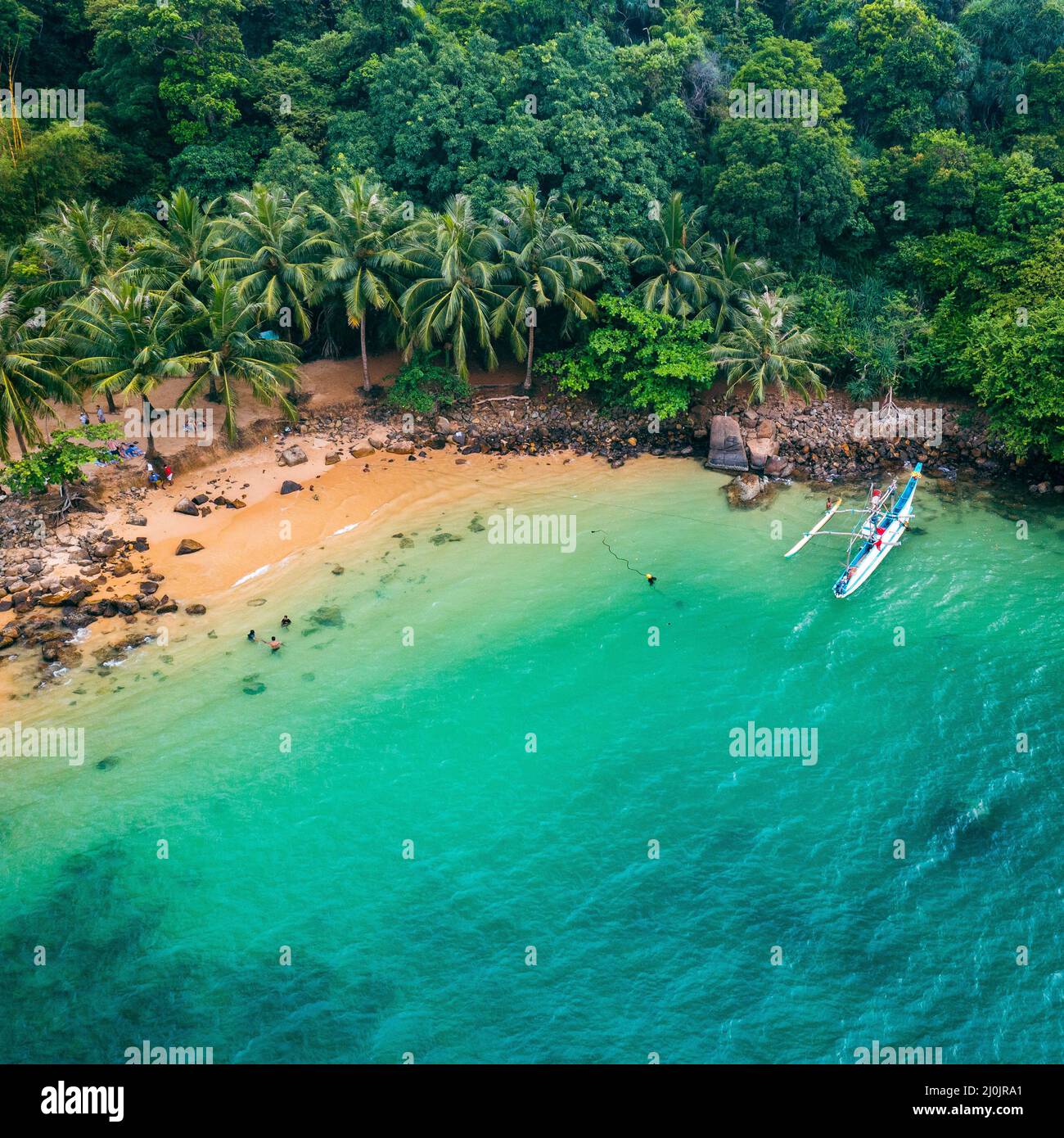 Costa tropicale della giungla in Sri Lanka. Vista aerea di Costline esotica, spiaggia e foresta pluviale. Paradise Beach. Foto Stock