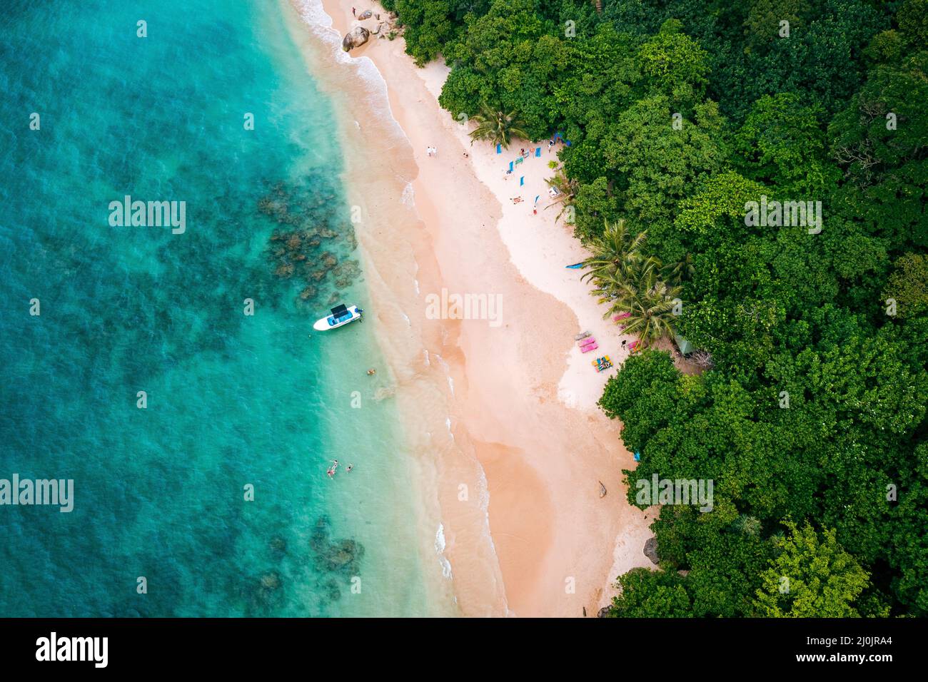 Costa tropicale della giungla in Sri Lanka. Vista aerea di Costline esotica, spiaggia e foresta pluviale. Paradise Beach. Foto Stock