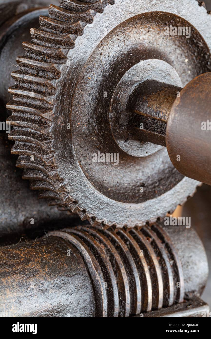 Vite senza fine e vite senza fine di accoppiamento su un'antica pressa di perforazione al Britannia Ship Yard a Steveston British Columbia Canada Foto Stock
