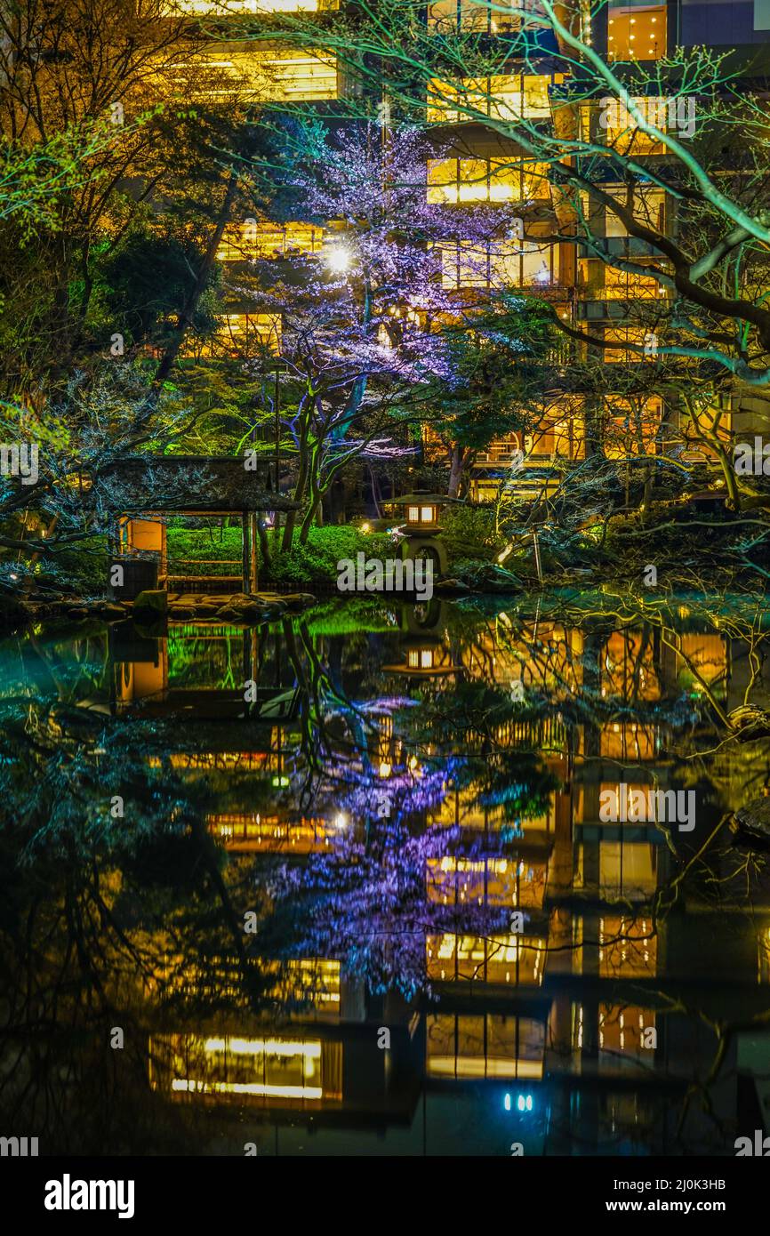 Immagine del giardino giapponese primaverile Foto Stock