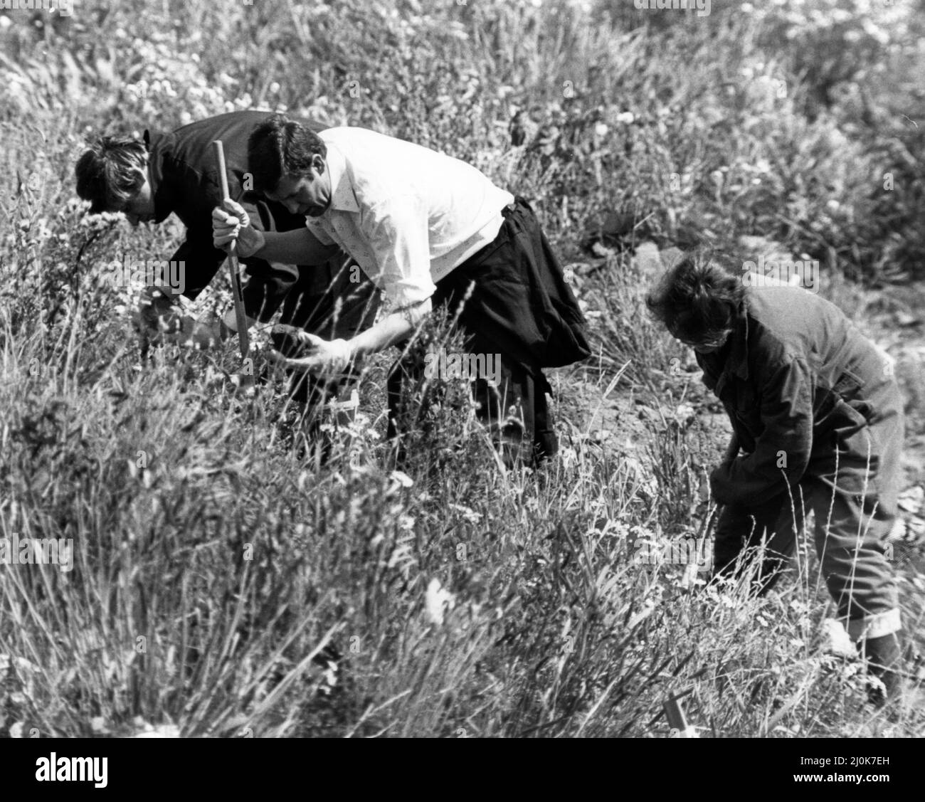 Huyton omicidi, Merseyside, agosto 1980. John Greenwood 11 e Gary Miller 11 sono stati trovati morendo su una discarica di rifiuti del consiglio. Erano stati clubbed sopra la testa ed allora sepolti sotto i rifiuti. Quando furono trovati erano entrambi ancora vivi, ma più tardi morirono per le loro ferite (John Greenwood 17th agosto e Gary Miller 20th agosto). La nostra foto mostra ... polizia cerca assassinio scena. 17th agosto 1980. Foto Stock