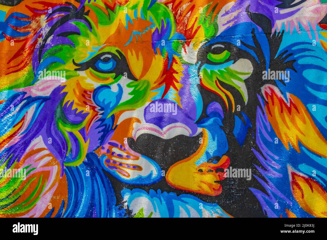 Pareti artistiche con colorati dipinti di leoni graffiti Playa del Carmen. Foto Stock