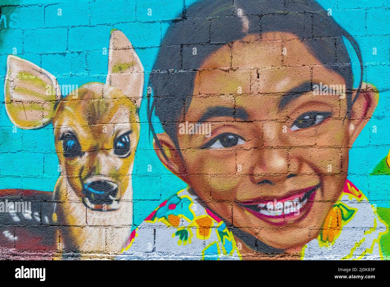 Pareti artistiche colorati animali dipinti umani graffiti Playa del Carmen. Foto Stock