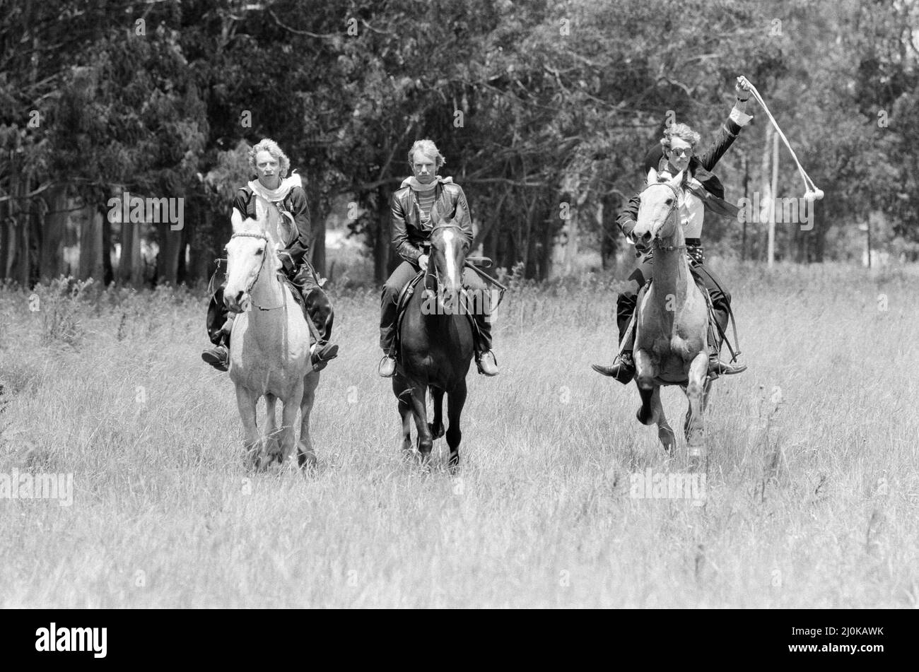 La polizia, pop / rock gruppo, raffigurato cavallo. Sinistra è il chitarrista Andy Summers Middle is Sting (vero nome Gordon Sumner) destra è il batterista Stewart Copeland Picture scattato in Sud America, mentre la band era in tour nel 1980. Foto scattata il 18th dicembre 1980 Foto Stock