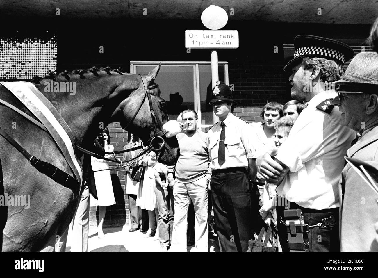 Tre volte il vincitore del Grand National Red Rum arriva per l'apertura del nightclub Rum Runner a Queen Street, South Shields. 10th luglio 1981. Foto Stock