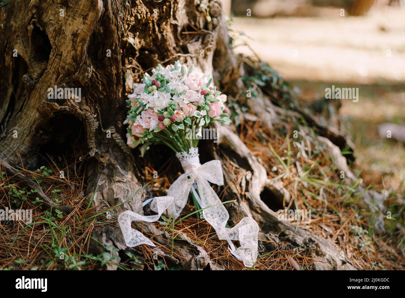 Bouquet nuziale di rose bianche e rosa, bacche selvatiche, eustoma con nastri di pizzo bianchi sul terreno vicino al tronco dell'albero Foto Stock