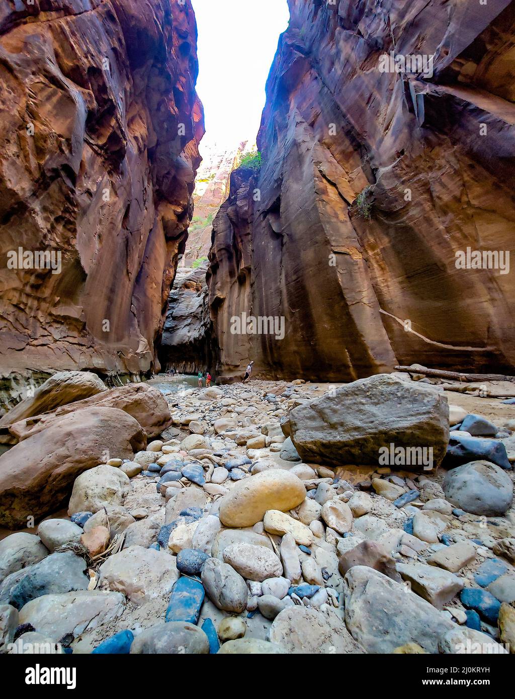 Restringe il sentiero escursionistico al Parco Nazionale di Zion. Escursioni a monte del fiume Virgin. Foto Stock