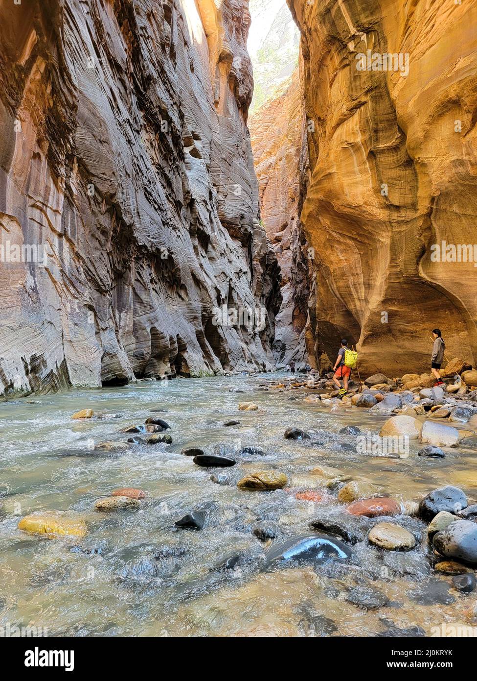 Narrows Trail presso il Parco Nazionale di Zion Foto Stock