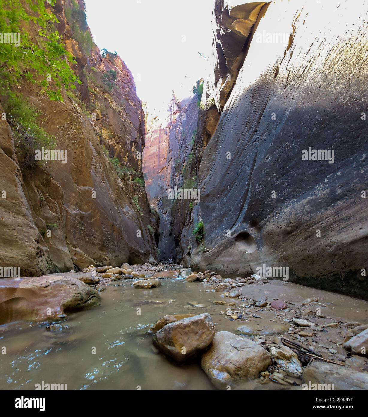 Narrows Trail presso il Parco Nazionale di Zion Foto Stock