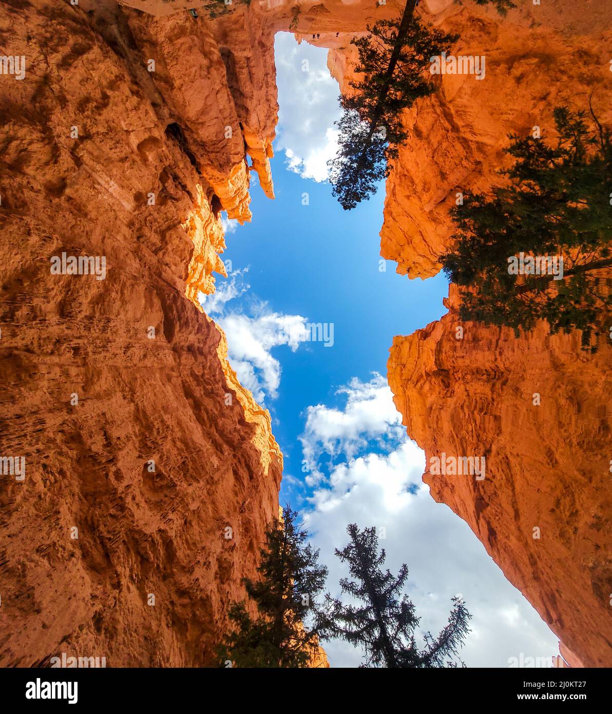 Bryce Canyon National Park con vista sullo Sky mentre si è sulla pista di peekaboo. Formazioni di roccia arancione chiamate Hoodoos tutto intorno. Rocce alte Foto Stock