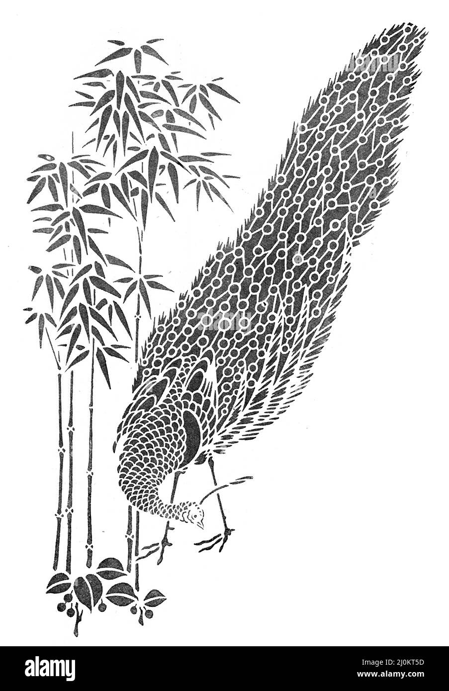 disegno stilizzato di un pavone, circa 1890 Foto Stock