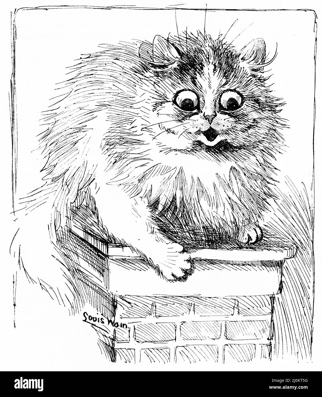 Illustrazione di un gatto grassoso seduto su un muro di mattoni, circa 1890 Foto Stock