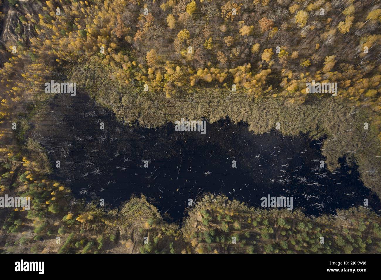 Vista aerea di laghetti circondati da foresta autunnale. Foto Stock