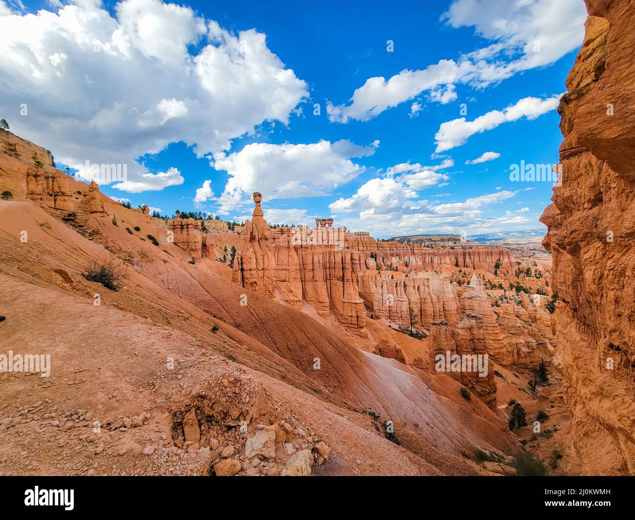 Parco Nazionale di Bryce Canyon View Foto Stock