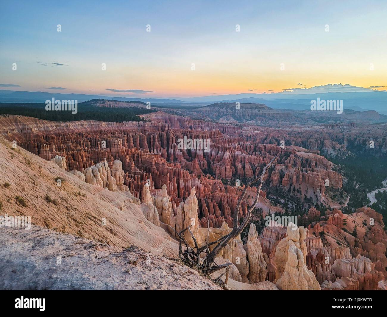 Parco Nazionale del Bryce Canyon centinaia di Hoodoos al Sun Rise Foto Stock